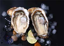 牡蛎